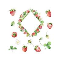 Rahmen mit Aquarell Erdbeeren und Blätter vektor