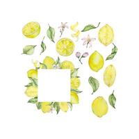 Aquarell Zitrone Rahmen einstellen mit Frucht, Scheibe, Blätter und Blumen vektor