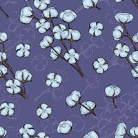 nahtlos Muster von Blühen Baumwolle. Hand gezeichnet Illustration. botanisch Skizzen Hintergrund im Jahrgang Stil. vektor