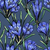 Ornament von Frühling Blumen Krokusse. Jahrgang Frühling nahtlos Muster. Hand gezeichnet wild Pflanzen botanisch Design. vektor