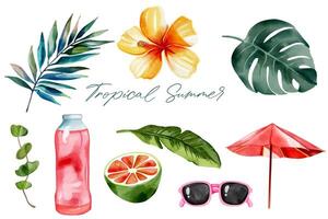 Hand gezeichnet Sommer Clip Art. Aquarell tropisch Satz. Sommer- Strand. exotisch Blume. Palme Blätter. vektor