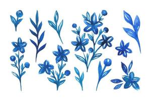 Set mit blauen Aquarell Wildblumen und Pflanzen vektor