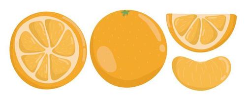 Satz reife Orangen, Orangenfruchtscheibe vektor
