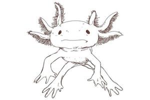 süße Axolotl-Skizze, Vintage-Gravur, handgezeichnet vektor