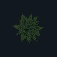 handgezeichnete Cannabis-Blume am besten für Ornament- oder Logo-Vorlagen vektor