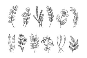 handgezeichnetes botanisches Blumenset vektor