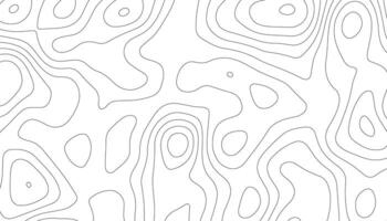 Hintergrund von das topografisch Karte. topografisch Karte Linien, Kontur Hintergrund. schwarz und Weiß abstrakt Hintergrund. vektor