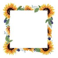 solros, björnbär och vild blomma. fyrkant ram med sommar växter, bär. blå, orange gul blommor. blommig sommar design. tömma Plats för text. vattenfärg illustration för inbjudan vektor