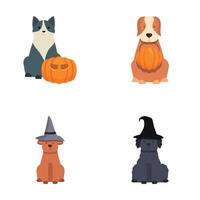 Halloween Hunde Sammlung mit festlich Kürbisse und Hexen Hüte vektor