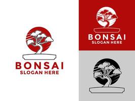 Bonsai Pflanze Baum Logo Symbol Design Vorlage, Bonsai Logo Design Silhouette, vektor