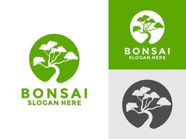 Bonsai Pflanze Baum Logo Symbol Design Vorlage, Bonsai Logo Design Silhouette, vektor