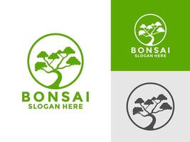 Bonsai Pflanze Baum Logo Symbol Design Vorlage, Bonsai Logo Design Silhouette, vektor