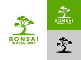 Bonsai Pflanze Baum Logo Symbol Design Vorlage, Bonsai Logo Design Silhouette, vektor