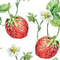 Erdbeere nahtlos Muster, Aquarell. Beeren, Blumen und Blätter. Illustration. zum Verpackung Papier, Stoff, Hintergrund, Textilien, Abdeckungen, Saft Etiketten, Marmelade, kosmetisch Produkte. vektor