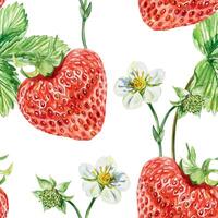 jordgubb sömlös mönster, vattenfärg. blommor, löv och bär. illustration. för förpackning papper, tyg, tapet, textilier, täcker, juice etiketter, sylt, kosmetisk Produkter. vektor