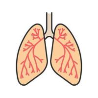 mänskliga lungor med bronkier och bronkioler färgikon. andningssystemets anatomi. isolerade vektor illustration