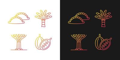 Pflanzen in Singapur Farbverlaufssymbole für den dunklen und hellen Modus. singapurische Küche. dünne Linie Kontursymbole bündeln. isolierte Vektor-Umriss-Illustrationen-Sammlung auf Schwarz und Weiß