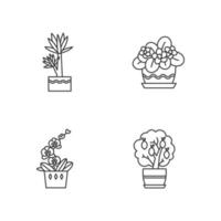 dekorativa inomhusväxter pixel perfekt linjär ikoner set. krukväxter. orkidé, yucca. afrikansk viol. anpassningsbara tunna linjers kontursymboler. isolerade vektor kontur illustrationer. redigerbar linje
