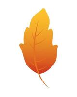 Herbstblatt Laub saisonale Symbol vektor
