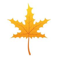 Herbstblatt Laub saisonale Symbol vektor