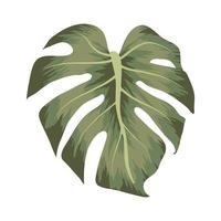 coole Monstera-Illustration vektor