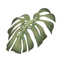 cool monstera ikon vektor