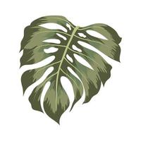 schönes Monstera-Design vektor