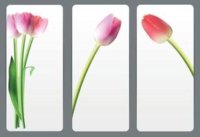 schöne Blumenkarten mit realistischer Tulpenvektorillustration vektor