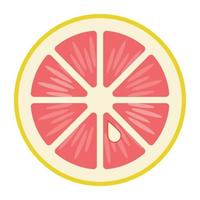 trendiga grapefruktkoncept vektor
