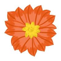 anemone blomma koncept vektor