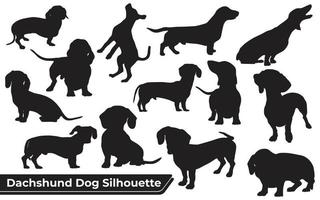Sammlung von Tierdackelhunden in verschiedenen Positionen