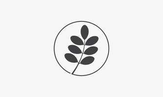 Kreis mit Blattmoringa-Vektorillustration auf weißem Hintergrund. kreatives Symbol. vektor