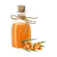Meer Sanddorn kosmetisch Öl im Glas Flasche mit Nilpferd Orange Beeren Ast Aquarell Illustration. organisch Produkt vektor