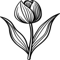 Hand gezeichnet einfach Blumen- Blumen Linie Kunst eben Design Umriss, Ornamente Satz. Gekritzel Gliederung Pflanze. Zeichnungen Element Silhouette auf Weiß Hintergrund vektor