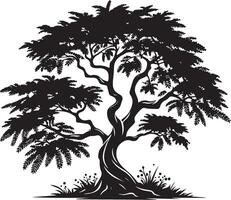 tamarind träd, svart Färg silhuett vektor