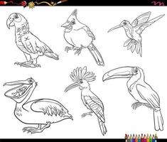 Cartoon Vögel Tierfiguren Set Malbuch Seite vektor