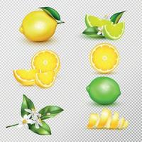 Zitrone-Limette realistisches Set transparent