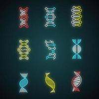 dna dubbel helix neonljus ikoner set. deoxiribonuklein, nukleinsyrastruktur. kromosom. molekylärbiologi. genetisk kod. genom. genetik. medicin. glödande tecken. vektor isolerade illustrationer