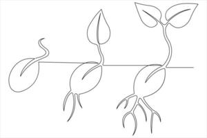 einer kontinuierlich Linie Zeichnung Pflanze Wachstum Prozess vektor