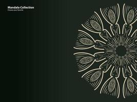 mandala mönster vintage etnisk stammall stilelement tapet bakgrundsmotiv cirkel konst textur tryck traditionell elegant rpund prydnad teckning dekoration guld meditation blomma asiatisk vektor