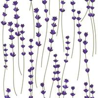 Lavendel dekoratives Muster. nahtloses Muster für Stoff, Papier, andere Druck- und Webprojekte. Aquarell Hintergrund. auf weiß vektor