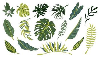 tropische Vektor handgezeichnete Blätter Sammlung in trendigen Farben auf weißem Hintergrund. Monsterablätter, Bananenblätter, Alocasia-Set