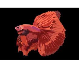 Betta Fisch Vektor-Illustration vektor