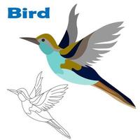översta bilden av fågel i färg och linje. fågel i flykt med öppna vingar. målarbok. vektor isolerade illustration.