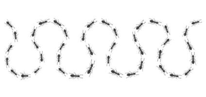 ett slingrande spår av myror. insekter marscherar längs linjen. vektor