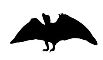 Silhouette Dinosaurier. schwarze Vektorillustration. vektor