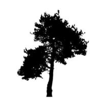 Baumsilhouette isoliert auf weißem Hintergrund. Vektorillustration vektor