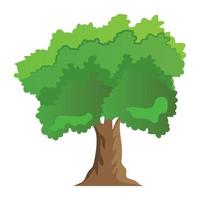 sycamore träd koncept vektor