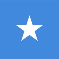 Somalia Square Nationalflagge vektor