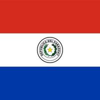 paraguay fyrkantiga nationella flaggan vektor